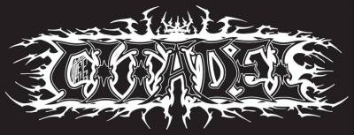 logo Citadel (USA-2)